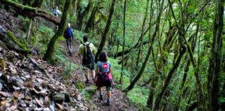 Atusos Gomera considera buena noticia la aplicación móvil para incidencias en senderos