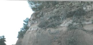 El Cabildo inicia las obras de estabilización del talud de la GM-1 en la zona del Mirador de Las Retamas