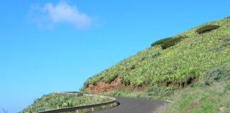 El Cabildo acondiciona la señalización de la red insular de carreteras