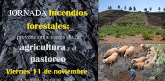 El Ayuntamiento de Valle Gran Rey organiza una jornada para prevenir los incendios forestales a través de la agricultura y la ganadería