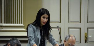 ASG defiende la autonomía de los cabildos para definir el modelo turístico insular