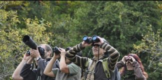 El Cabildo desarrollará un taller de trabajo enfocado al Plan de Turismo Ornitológico de La Gomera