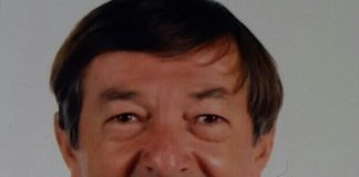 ¿Democracia sí, ó, Democracia no?