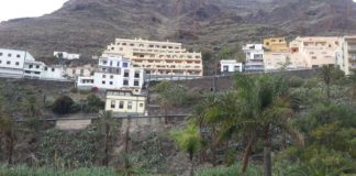 Sí se puede muestra su preocupación por el estado del palmar de Las Orijamas