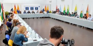 Los parlamentarios grancanarios se unen al rechazo del Fdcan