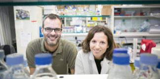 Descubiertas las células que inician la metástasis del cáncer