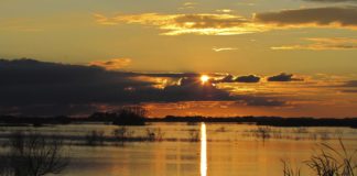 Los parques nacionales cumplen 100 años como abanderados de la biodiversidad
