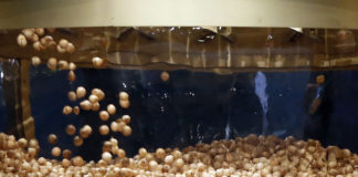 Lotería de Navidad: La ilusión del Gordo a distancia