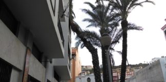 Parte de una palmera impacta contra un edificio de San Sebastián