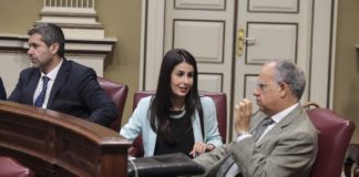 ASG preguntará al Gobierno canario sobre el presupuesto que recogerá el nuevo Plan de Empleo