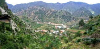 García defiende un plan de prevención de incendios en el barranco del Ingenio