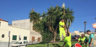 El Ayuntamiento inicia los trabajos de mejora de la señalización de San Sebastián de La Gomera