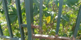 Sí se puede advierte al Ayuntamiento de Valle Gran Rey sobre el mal estado de la valla situada junto al CEIP El Retamal