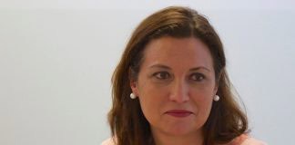 Ventura del Carmen Rodríguez pide al Gobierno canario que negocie la obligación de servicio público con el Estado