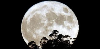 Un eclipse lunar, un cometa y la Luna de Nieve, esta noche en el cielo