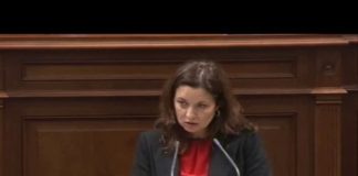 Ventura del Carmen Rodríguez (PSOE) vuelve a exigir la mejora de los vuelos con La Gomera