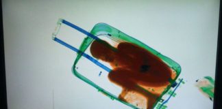 «Quiero que se sepa por qué acabé entrando en Europa dentro de una maleta»