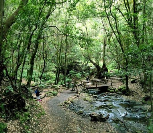 Descenso de las temperaturas este domingo en Canarias