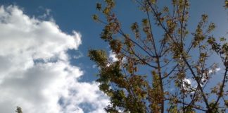 Posibles lluvias débiles y pocos cambios en las temperaturas para este domingo