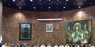 El Pleno del Cabildo condena el maltrato animal