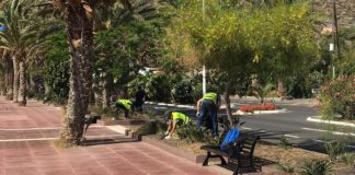 San Sebastián pone en marcha los servicios vinculados al plan de empleo social