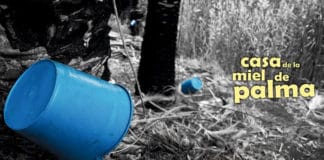 Finaliza el curso de fabricación de esteras de palma en el Centro de Interpretación de la Miel de Palma de Alojera