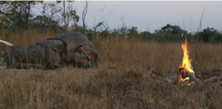 La dramática muerte de uno de los cazadores más famosos del mundo