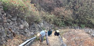 El Ayuntamiento de Agulo trabaja en la mejora de su red de senderos local