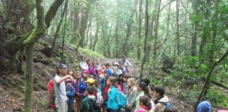 288 jóvenes participan desde este lunes en el Campamento de El Cedro