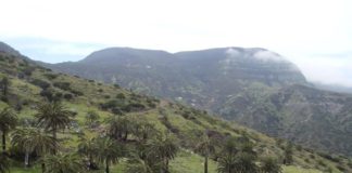 Una medalla de oro para los guaraperos