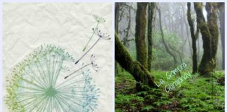 Empresarios de La Gomera participan en el Seminario Permanente Club Ecoturismo en España