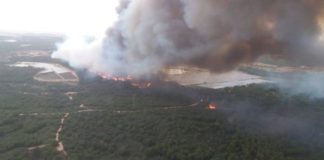 La cifra de evacuados por el incendio en Doñana se eleva a más de 2.000