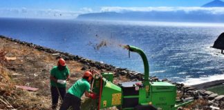 El Ayuntamiento de Hermigua comienza a triturar para su reciclaje 400 m³ de materia vegetal