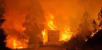 Un gran incendio en el centro de Portugal causa 43 muertos y 59 heridos