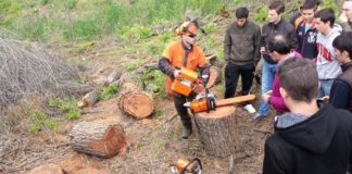 ASG de Valle Gran Rey inicia sus acciones formativas con un curso para el manejo de motosierra y desbrozadora