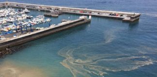 Se recomienda «abstenerse del baño» en la playa de San Sebastián por avistamiento de microalgas