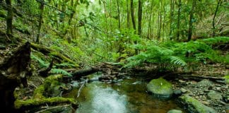 Abierto el plazo para que las empresas soliciten su adhesión a la CETS