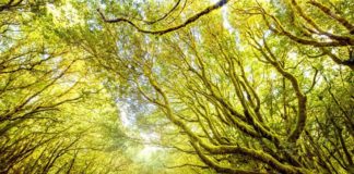 El Gobierno convoca ayudas para la conservación de las áreas de influencia de los parques nacionales