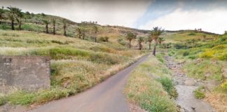 Rescatan por orden judicial a varios animales abandonados en una finca en ‘Los Manantiales’, Vallehermoso