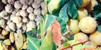 Vallehermoso organiza la primera muestra de productos locales