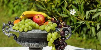 La OMS recomienda seguir una dieta equilibrada