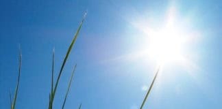 Se mantienen las altas temperaturas y retirada de la calima en Canarias este miércoles