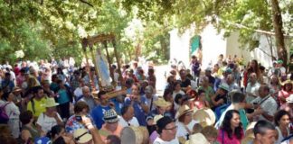 Alto riesgo en el monte por las altas temperaturas en un fin de semana que celebra la fiesta de El Cedro