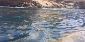 UGT pide una investigación independiente sobre el origen de las manchas aparecidas en las costas