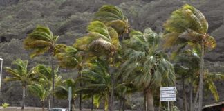 Viento fuerte en medianías este viernes