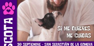 El Día de la Mascota propone este sábado en San Sebastián actividades, talleres y el fomento de la adopción
