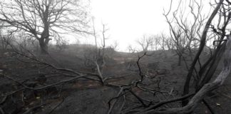 Hallan un cuerpo calcinado cerca de la casa de la mujer desaparecida en el incendio