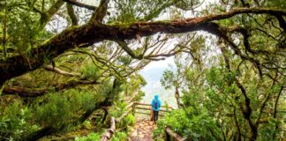 Curso de la UNED sobre Ecoturismo y Patrimonio en La Gomera