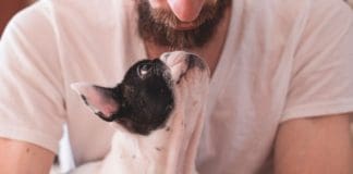 San Sebastián celebrará el 30 de septiembre el Día de la Mascota