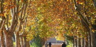 El próximo otoño será más cálido de lo normal en toda España